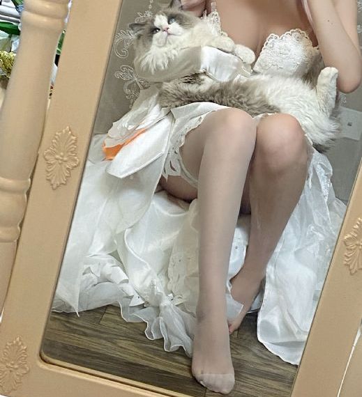 光荣使命_在线观看视频